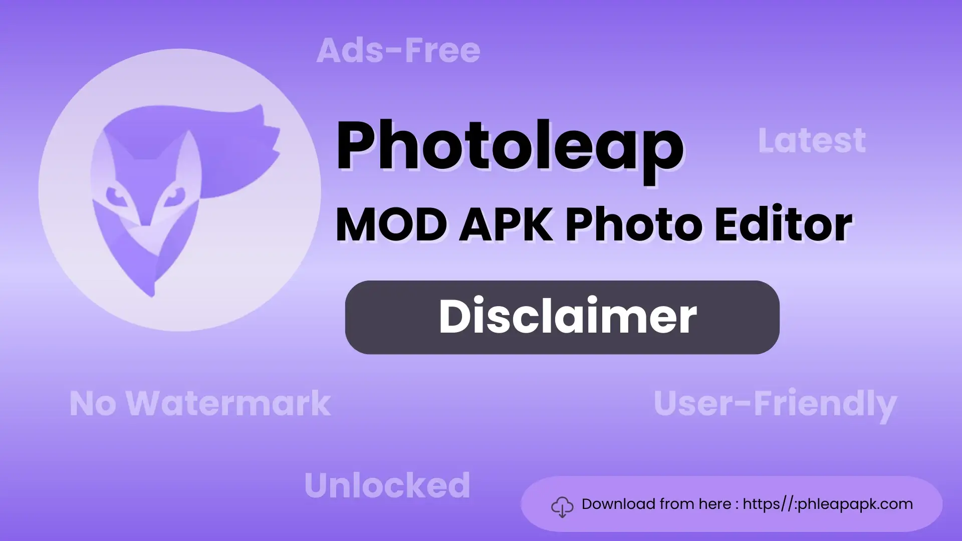 Disclaimer 1 Disclaimer